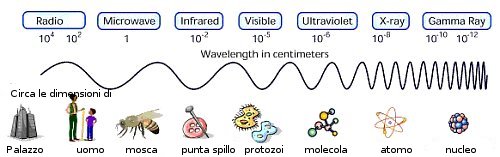 nfronti dimensioni